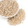 Glass Seed Beads SEED-N007-01I-1