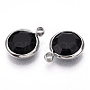 K9 Glass Charms X1-GLAA-T023-37B-01-2