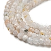 Natural Rainbow Moonstone Beads Strands G-A097-A11-08-3