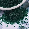 MIYUKI Delica Beads SEED-X0054-DB0713-1