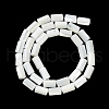 Natural Trochus Shell Beads Strands BSHE-Z003-18-2