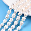 Natural Cultured Freshwater Pearl Beads Strands PEAR-N012-07Q-1