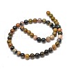 Natural Ocean Jasper Beads Strands G-P075-55-6mm-2