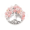 Alloy Pendants PALLOY-MZ00669-01-1