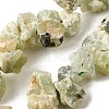Natural Prehnite Beads Strands G-S386-B03-2