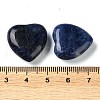 Natural Sodalite Heart Palm Stones G-M416-09E-3