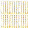 Unicraftale 30Pcs PVD Vacuum Plating 304 Stainless Steel Curb Chain Extender STAS-UN0047-69-1