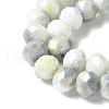 Electroplate Handmade Lampwork Beads Strands LAMP-S068-11F-3
