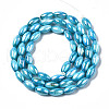 Freshwater Shell Beads Strands SHEL-N026-141C-2