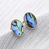 304 Stainless Steel Natural Paua Shell Stud Earrings EJEW-Z103-13G-1