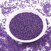 MIYUKI Round Rocailles Beads X-SEED-G007-RR1345-2