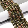 Natural Unakite Beads Strands G-G146-A14-01-2