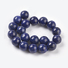 Natural Lapis Lazuli Beads Strands G-G087-10mm-2