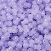 Transparent Colours Glass Seed Beads SEED-R001-01D-2