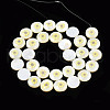Natural Freshwater Shell Enamel Beads SHEL-N026-194-07-2