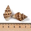 Natural Spiral Shell Pendants SHEL-K009-17C-3