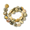 Flat Round Natural Crazy Lace Agate Beads Strands G-S110-05-4