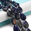 Natural Sodalite Beads Strands G-P528-L02-01-2