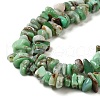 Natural Chrysoprase Beads Strands G-G0004-D01-B-4