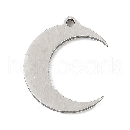304 Stainless Steel Charms STAS-S174-04P-1