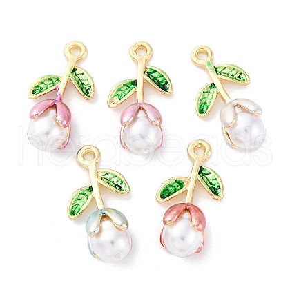 Alloy Enamel Pendants FIND-M060-22G-1