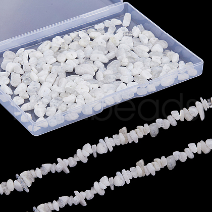 SUNNYCLUE 2 Strands Natural Rainbow Moonstone Chip Beads Strands G-SC0002-51-1