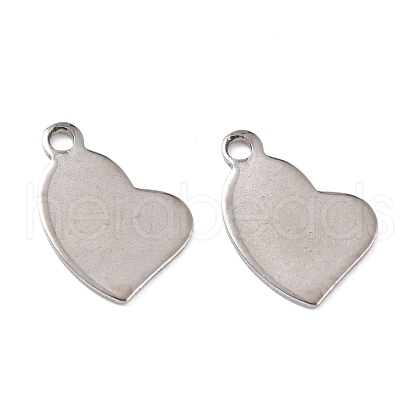Tarnish Resistant 201 Stainless Steel Charms STAS-K217-77-1