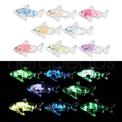 Transparent Luminous Acrylic Pendants TACR-Z002-04-1