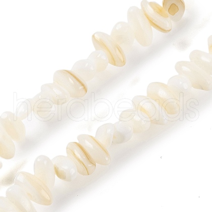 Natural Anomaly Freshwater Shell Beads Strands BSHE-S304-05A-1