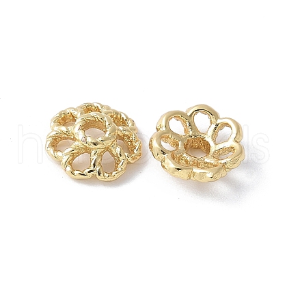 Flower Brass Bead Caps KK-F892-34G-08-1