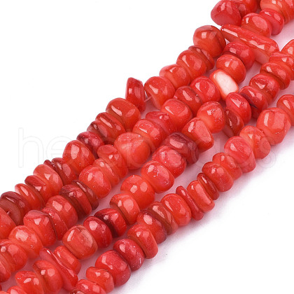 Natural Trochid Shell/Trochus Shell Beads Strands SHEL-S258-081-B06-1