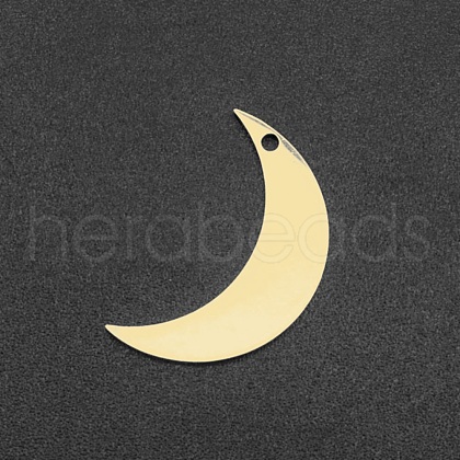 201 Stainless Steel Pendants STAS-N090-LA163-1