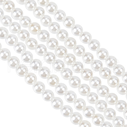 GOMAKERER 2 Strands Shell Pearl Beads Strands BSHE-GO0001-03-1