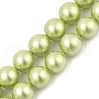 Polished Shell Pearl Round Beads Strands BSHE-XCP0001-13-1