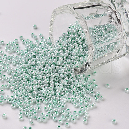 11/0 Grade A Round Glass Seed Beads SEED-N001-B-0487-1