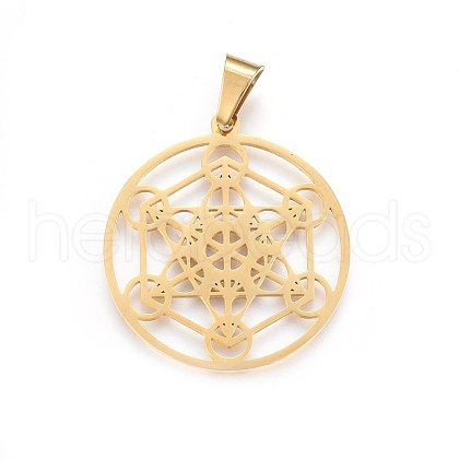 304 Stainless Steel Pendants STAS-P209-19G-1