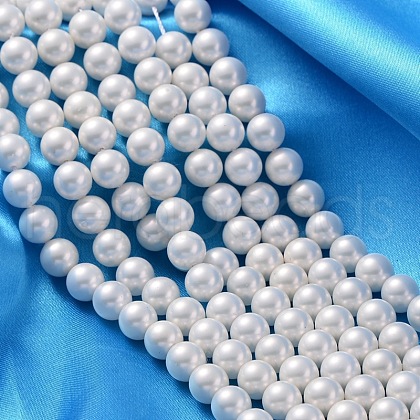 Shell Pearl Beads Strands X-SP8MM701-1