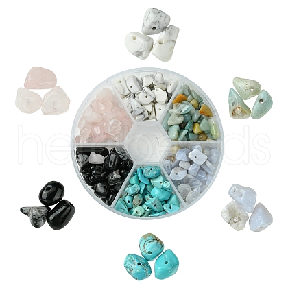 60G 6 Styles Natural & Synthetic  Gemstone Beads Chips G-FS0005-80-1