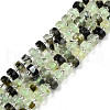 Natural Prehnite Beads Strands G-N327-07H-1