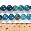 Dyed Natural Agate Beads Strands G-G203-10I-12mm-5