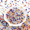 Transparent Colours Luster Glass Seed Beads SEED-N007-10-2