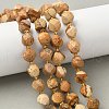 Natural Picture Jasper Beads Strands G-U023-A09-01-1