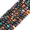 Natural Howlite Beads Strands G-A230-C01-02-1