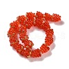 Handmade Lampwork Beads Strands LAMP-Q036-05B-2