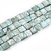 Natural Variscite Beads Strands G-N346-05A-05-2
