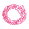 Dyed Natural Trochid Shell/Trochus Shell Beads Strands SSHEL-T017-13E-2