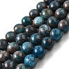 Natural Apatite Beads Strands G-H287-01B-01-1