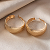 Iron Textured Hoop Earrings EF7295-2