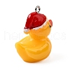 Resin Pendants FIND-U031-13B-P-2