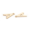 201 Stainless Steel Charms STAS-C021-06G-A-2